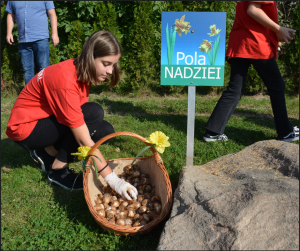 zdjęcia na stronę (1)